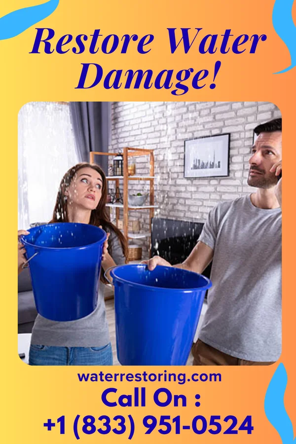 water restoration Master Water Cleanup Specialists Norfolk